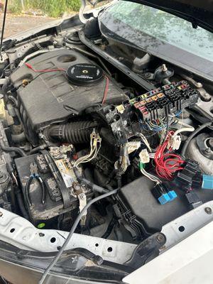 Automotive Mechanic JR