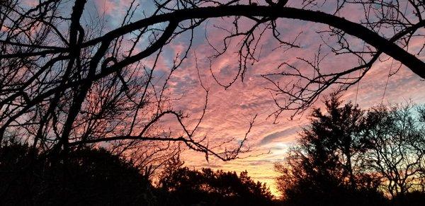 Five Oak Ranch Retreat