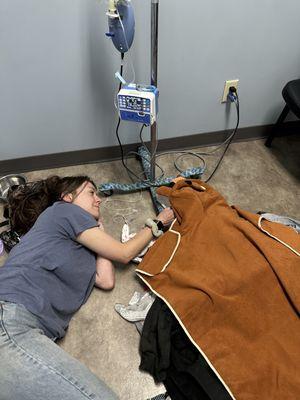 Animal Emergency Clinic