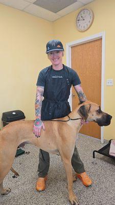 Shear Paradise Pet Salon & Spa