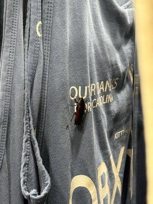 A cockroach on a tank top in Super Wings