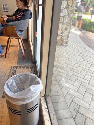 Termite wings in Lazarus MD Kane Concourse 33154 waiting room.
05/ 2023