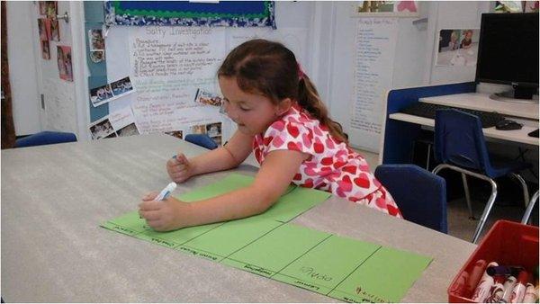 Creative World School