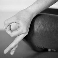 Purest Potential Yoga Santa Fe