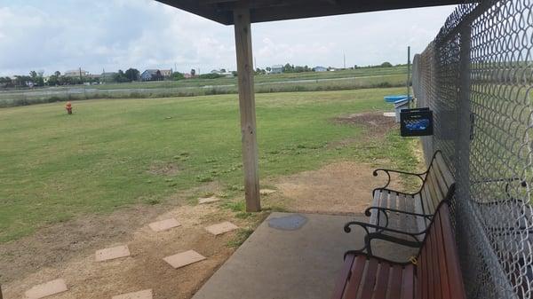 Lots of room to run, water, and a swimming pool!