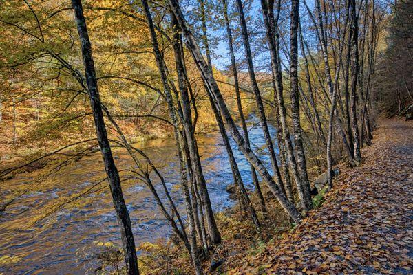 Easy, flat, main trail along the West River