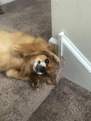 Bristol Veterinary Clinic