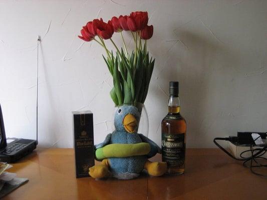 This is Duck from Young Growth Toys.