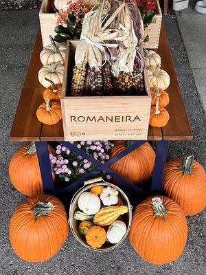 Pumpkin and Fall collection