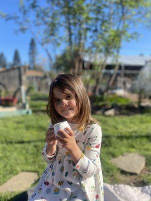 The Treehouse: a Forest Garden School