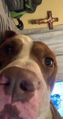 Corte Sierra Elementary School