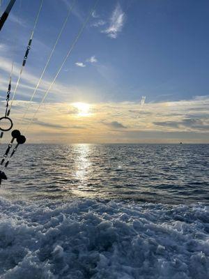 Taco Hooked Up Fishing Charters