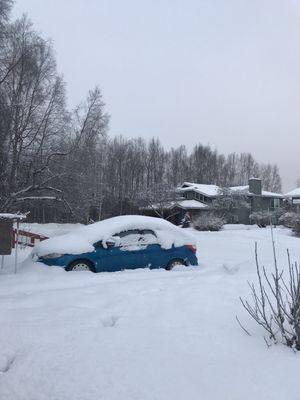 AAA Customer Services