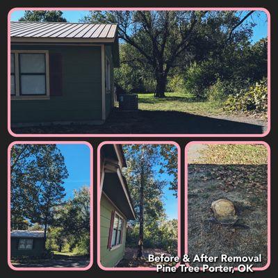 Rebel Tree & Outdoor Service