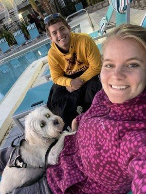 Calling All Dogs and Cars of South Tampa