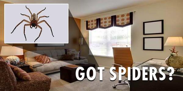 City Best Pest Control