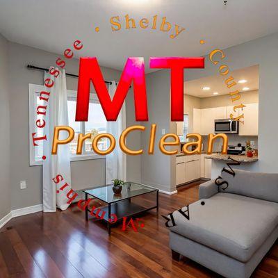 MT ProClean and Paint Services