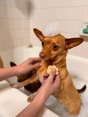 Earthly Essence Soap