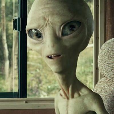 Vineyard Green Apartments