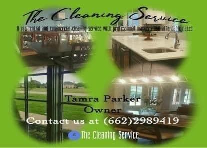 The Cleaning Service