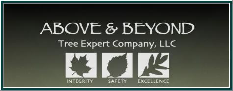 Above & Beyond Tree Expert Company, LLC