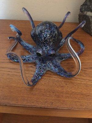 The octopus purchased in 2018