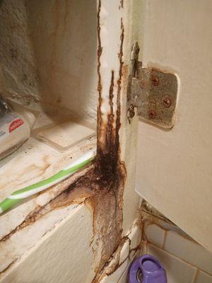 Dare Property Management