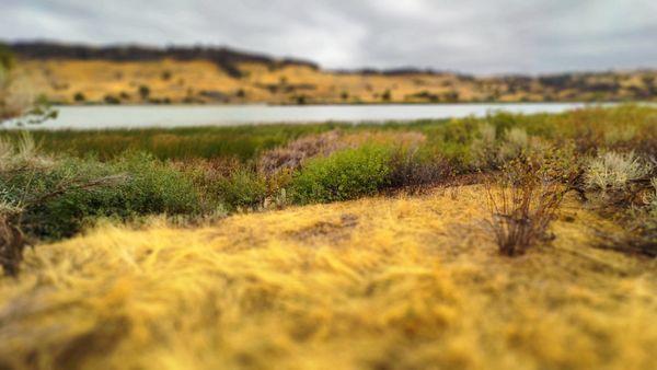 Massacre Rocks State Park