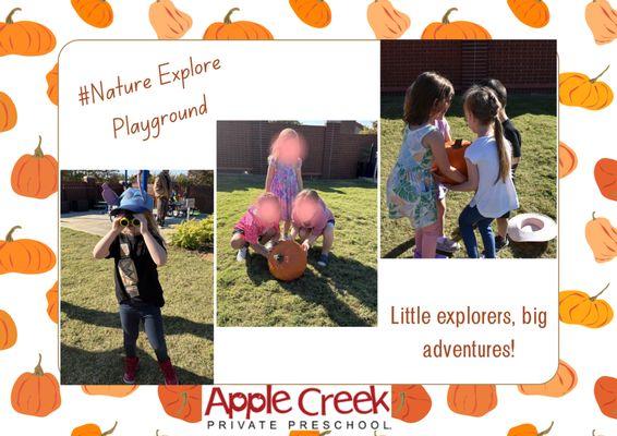 Apple Creek Private Preschool