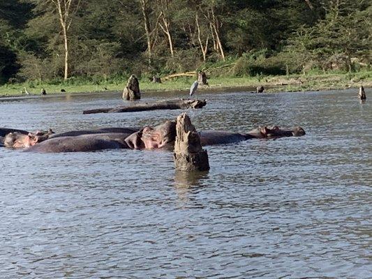 AFRI KENYA  Tours & Safaris