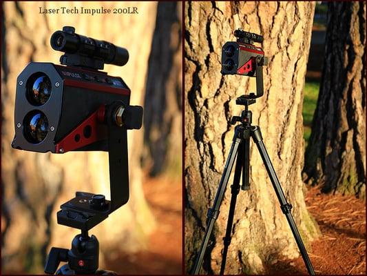 M. D. Vaden Landscape & Tree Care