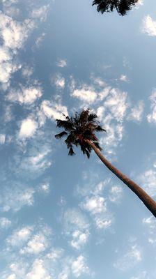 Healthy Wild Wellness