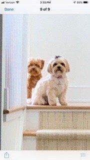 Cousins , molly and tilly