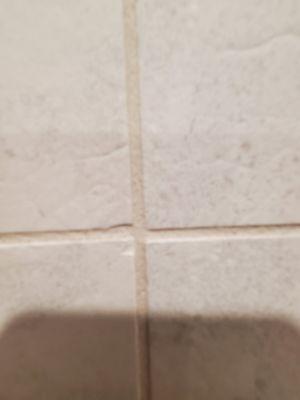 Raggedy tile saw blade chipped, nicked and dinged tiles. Yet they installed them anyway.