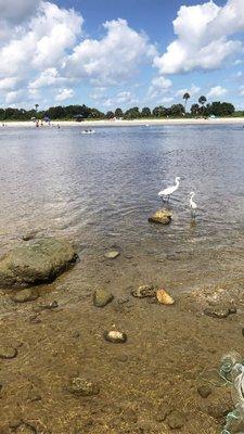 Sebastian Inlet State Recreation Area