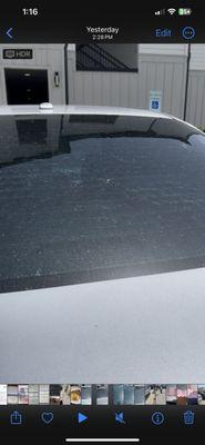 The Standard at Champions