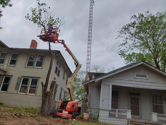 Texas Trees & Landscaping Services