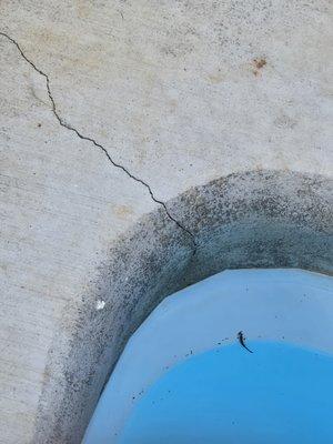 Pool & Spa Clearance Center