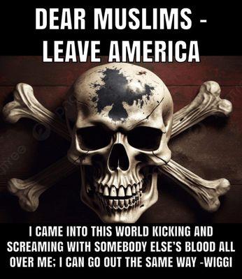 Scotty's Taxi Service