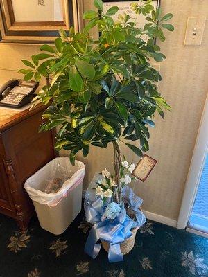 Holeton-Yuhasz Funeral Home