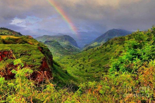 Phyllis Walters-Kemp, PhD NCSP