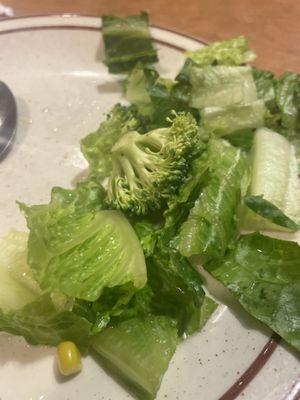 only good thing in the restaurant