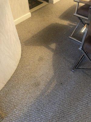 Stained carpet in dining room
