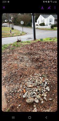 Clarity Services And Labor