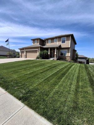 The Seventy Eight Lawncare