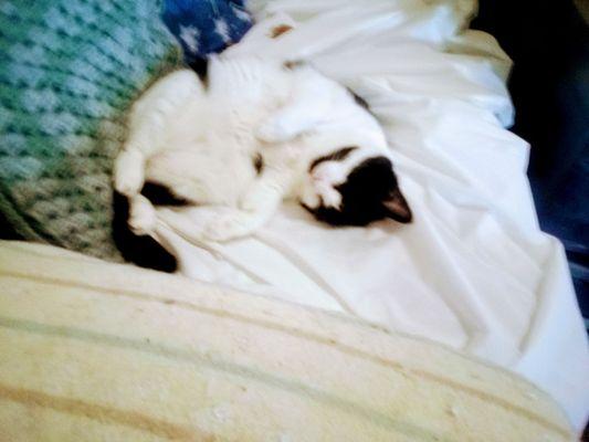 Here Thumbalina is worn out from , doing nothing