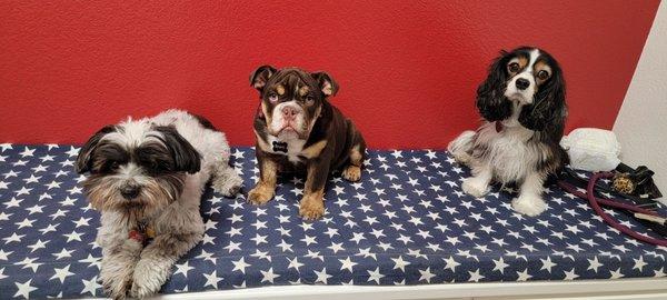 Family Pet Care Center