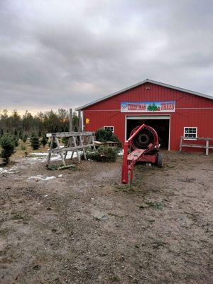 Hill's Christmas Tree Farm