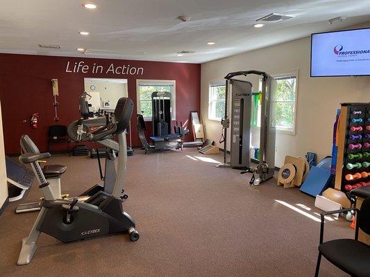 Professional Physical Therapy