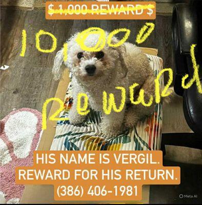 $$$ 10:000  $$$ CASH REWARD NO QUESTIONS ASKED I JUST WANT HIM HOME NOW PLEASE HELP ME FIND MY BABY PLEASE